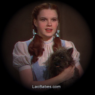 Judy Garland as Dorothy